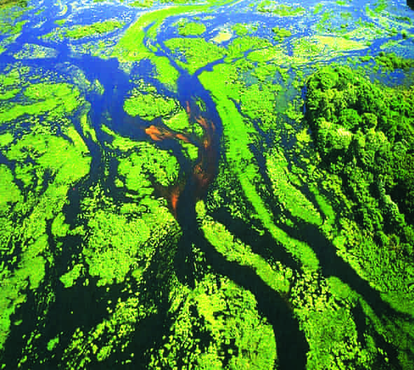 aereal pantanal