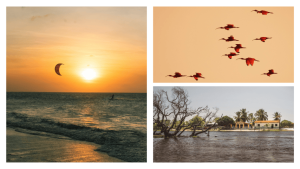kitesurfer at sunset in Jericoacoara