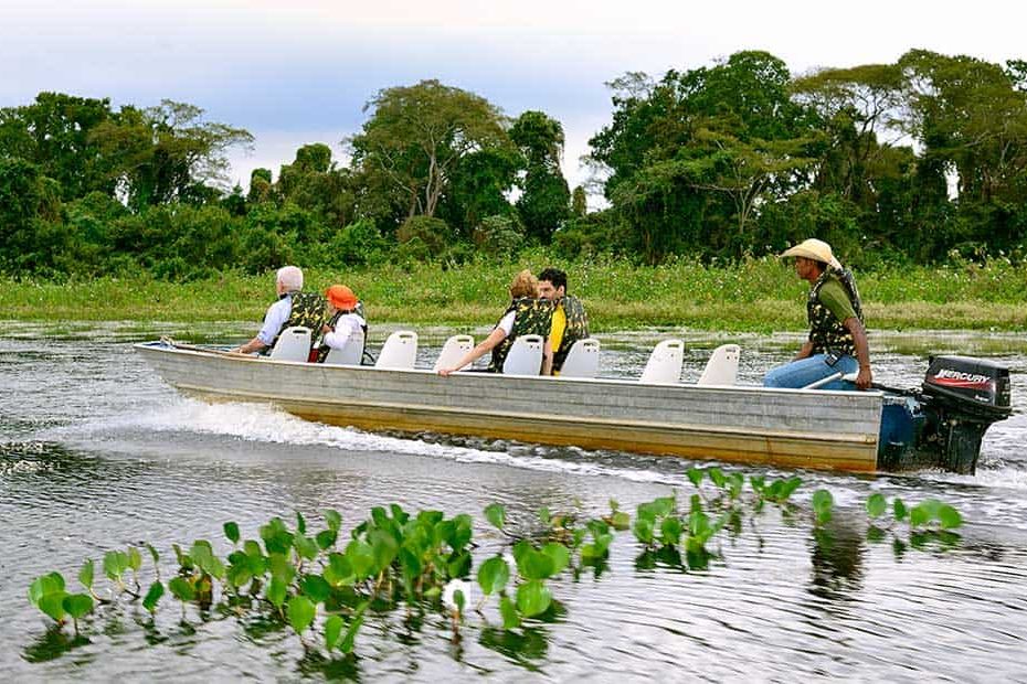 brazil pantanal luxury experience