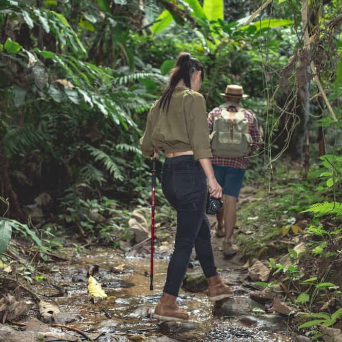 brazil rainforest communities