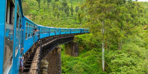 jungle train jungle train