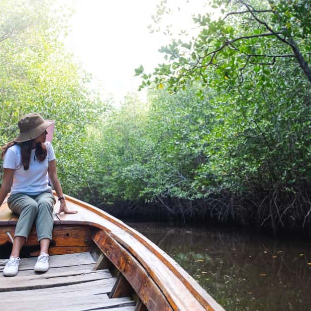 landscape brazil boat