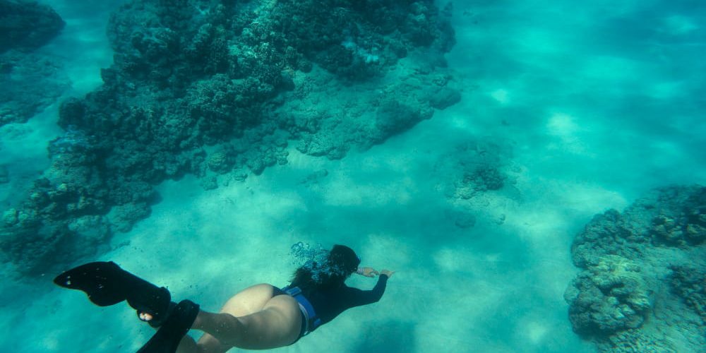 snorkel in fernando de noronha snorkel in fernando de noronha