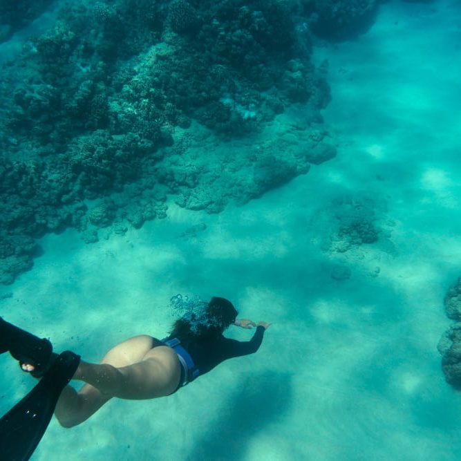 snorkel in fernando de noronha