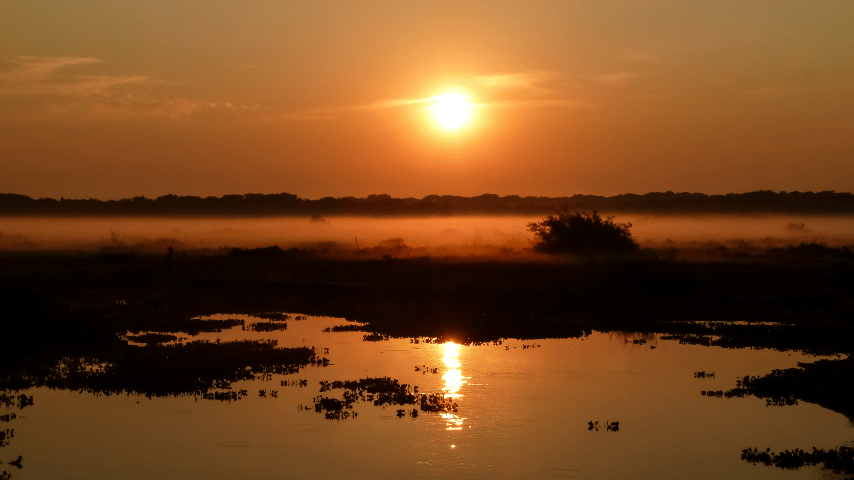 Sunset over a river in the Brazilian Pantanal - scenic landscape of Pantanal wildlife